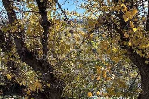 House for sale in Ronda, Malaga, Spain 6 bedrooms, 200 sq.m. No. 159741 - photo 24