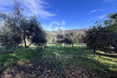 House for sale in Ronda, Malaga, Spain 6 bedrooms, 200 sq.m. No. 159741 - photo 2