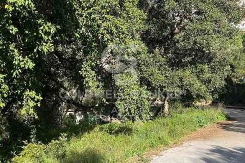 Tomt till salu i Marbella, Malaga, Spanien 1091 kvm. Nr. 159739 - foto 6