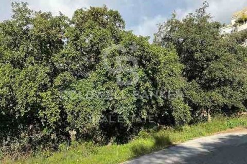 Land plot for sale in Marbella, Malaga, Spain 1091 sq.m. No. 159739 - photo 5