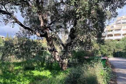 Terreno in vendita a Marbella, Malaga, Spagna 1092 mq. N° 159740 - foto 5