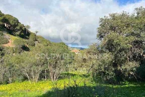 Terreno in vendita a Marbella, Malaga, Spagna 1092 mq. N° 159740 - foto 8