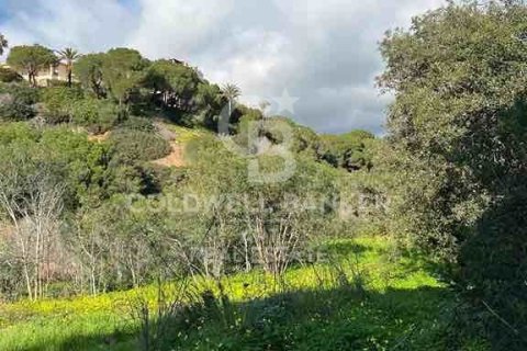 Terreno in vendita a Marbella, Malaga, Spagna 1092 mq. N° 159740 - foto 4