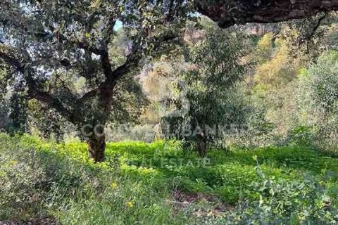 Terreno in vendita a Marbella, Malaga, Spagna 1092 mq. N° 159740 - foto 6