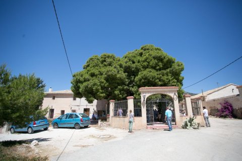 Retail store in Pinoso, Alicante, Spain No. 168717