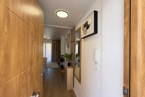 Продажа квартиры в Нуэва Торревьеха, Аликанте, Испания 2 спальни, 54м2 №183053 - фото 2
