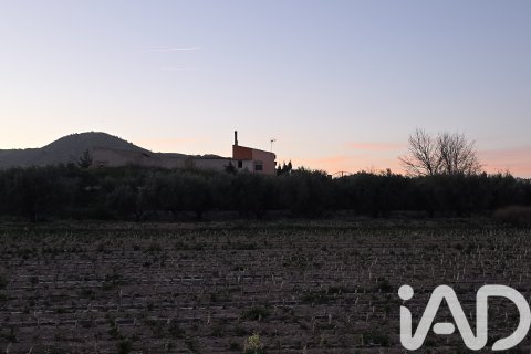 Parcela en Calasparra, Murcia, España 4000 m2 No. 188437