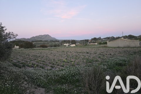 Parcela en venta en Calasparra, Murcia, España 4000 m2 No. 188437 - foto 6