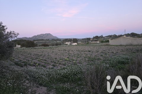 Parcela en venta en Calasparra, Murcia, España 4000 m2 No. 188437 - foto 5