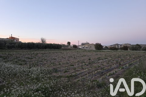 Parcela en venta en Calasparra, Murcia, España 4000 m2 No. 188437 - foto 3
