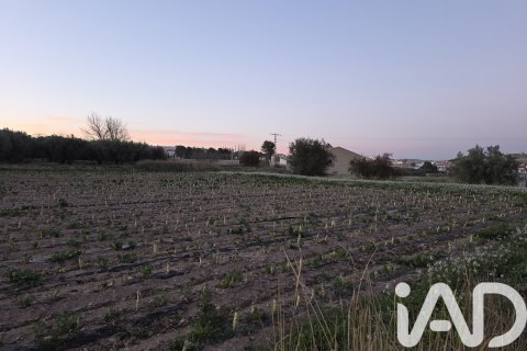Parcela en venta en Calasparra, Murcia, España 4000 m2 No. 188437 - foto 2