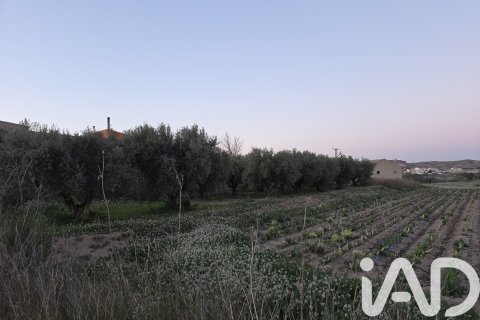 Parcela en venta en Calasparra, Murcia, España 4000 m2 No. 188437 - foto 4