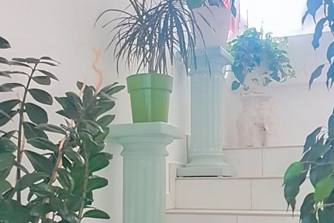 Propiedad comercial en venta en Ibiza ciudad, Ibiza, España 528.83 m2 No. 188435 - foto 22