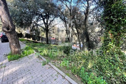 Land plot for sale in Barcelona, Spain 600 sq.m. No. 160423 - photo 8