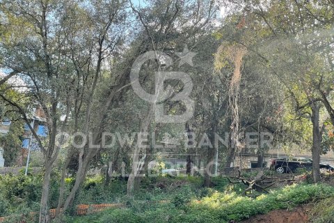 Land plot for sale in Barcelona, Spain 600 sq.m. No. 160423 - photo 5
