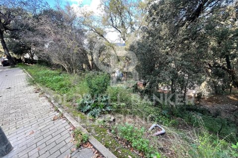 Land plot for sale in Barcelona, Spain 600 sq.m. No. 160423 - photo 11