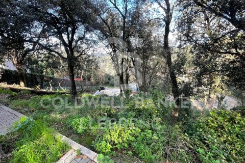 Tontti Barcelona, Espanja 600 m2 No. 160423