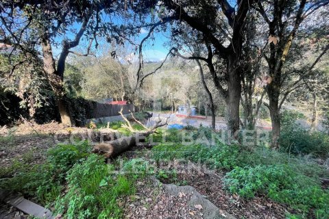 Land plot for sale in Barcelona, Spain 600 sq.m. No. 160423 - photo 10