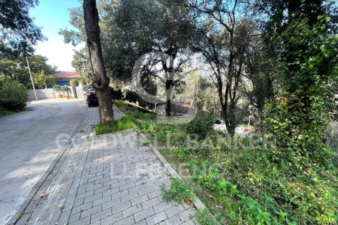 Land plot for sale in Barcelona, Spain 600 sq.m. No. 160423 - photo 7