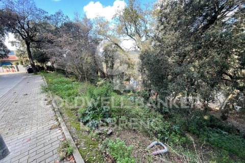 Land plot for sale in Barcelona, Spain 600 sq.m. No. 160423 - photo 2