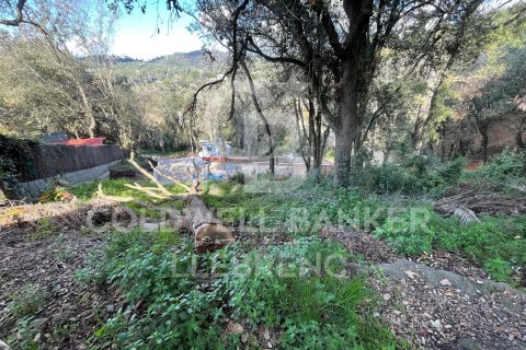 Land plot for sale in Barcelona, Spain 600 sq.m. No. 160423 - photo 4