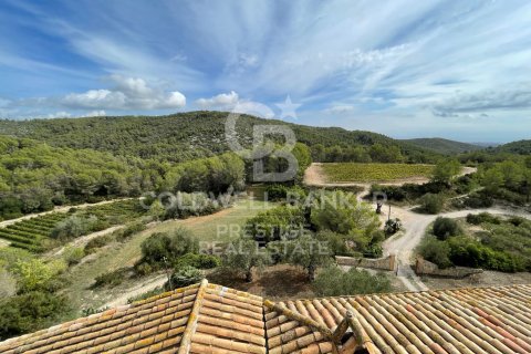 Продажа дома в Виланова-и-ла-Желтру, Барселона, Испания 18 спален, 4000м2 №160422 - фото 5