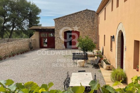 Продажа дома в Виланова-и-ла-Желтру, Барселона, Испания 18 спален, 4000м2 №160422 - фото 13