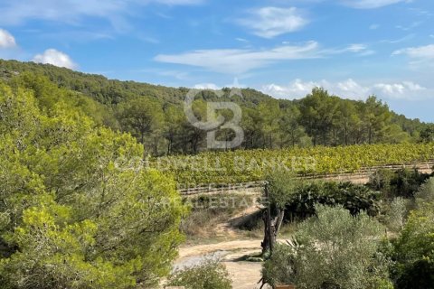 Продажа дома в Виланова-и-ла-Желтру, Барселона, Испания 18 спален, 4000м2 №160422 - фото 25