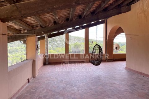 Продажа дома в Виланова-и-ла-Желтру, Барселона, Испания 18 спален, 4000м2 №160422 - фото 23