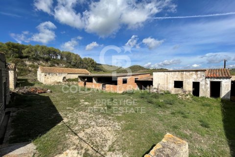 Продажа дома в Виланова-и-ла-Желтру, Барселона, Испания 18 спален, 4000м2 №160422 - фото 11