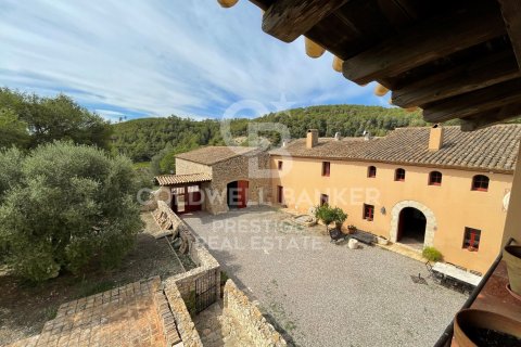 Продажа дома в Виланова-и-ла-Желтру, Барселона, Испания 18 спален, 4000м2 №160422 - фото 10