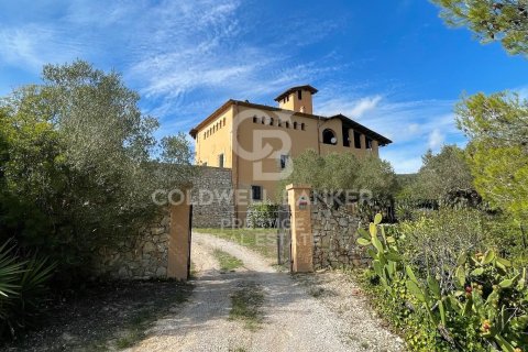 Продажа дома в Виланова-и-ла-Желтру, Барселона, Испания 18 спален, 4000м2 №160422 - фото 2