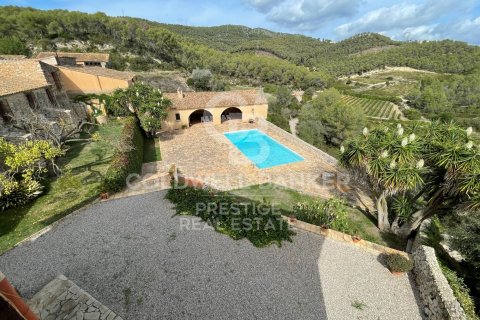 Продажа дома в Виланова-и-ла-Желтру, Барселона, Испания 18 спален, 4000м2 №160422 - фото 6