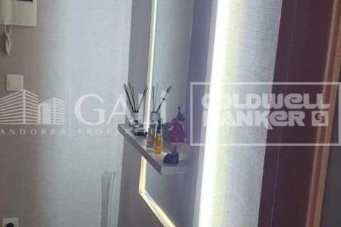 Apartment à vendre à Principado De Andorra (Ninguna Poblacion Tiene C.P.), Lleida, Espagne, 2 chambres, 88 m2 No. 158911 - photo 14