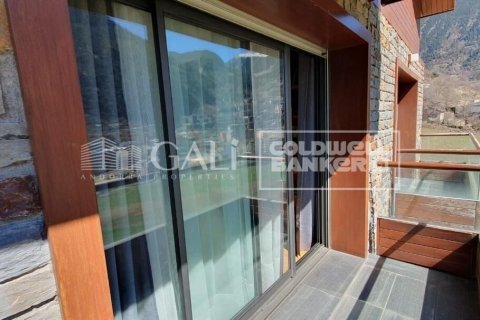 Apartment à vendre à Principado De Andorra (Ninguna Poblacion Tiene C.P.), Lleida, Espagne, 2 chambres, 88 m2 No. 158911 - photo 16