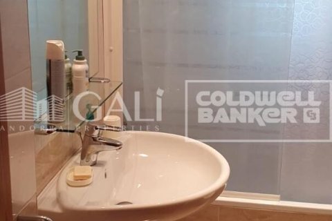 Apartment à vendre à Principado De Andorra (Ninguna Poblacion Tiene C.P.), Lleida, Espagne, 2 chambres, 88 m2 No. 158911 - photo 9