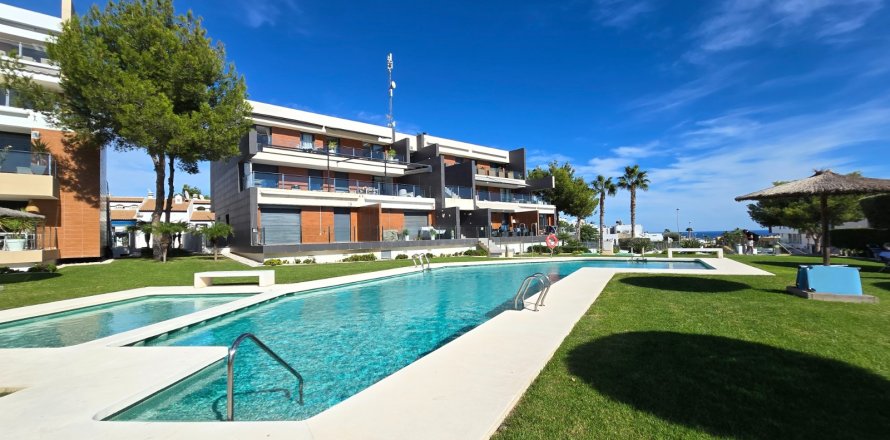 Квартира Аликанте, Испания 3 спальни, 86м2 №139962