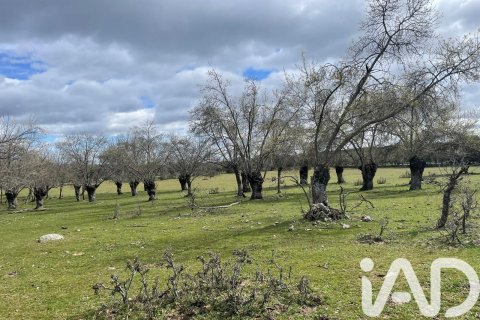 Komerciāls īpašums pārdošanā Galapagar, Madrid, Spānijā Nr. 173027 - attēls 2