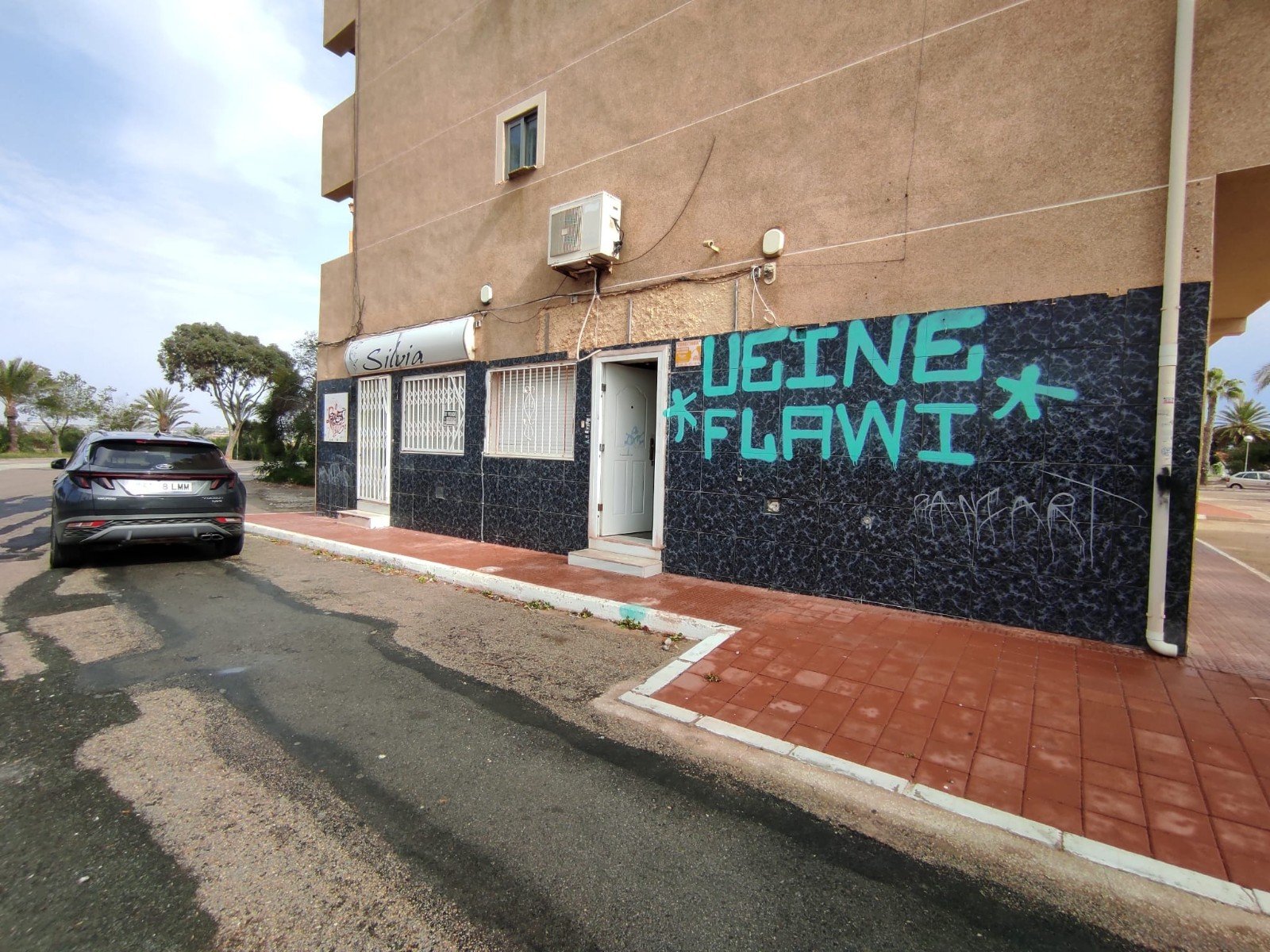Propiedad comercial en Guardamar del Segura, Alicante, España 4 dormitorios, 175 m2 No. 183914