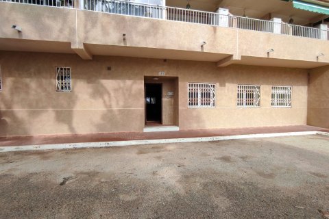 Liikekiinteistö myytävänä Guardamar del Segura, Alicante, Espanja, 4 makuuhuonetta, 175 m2 No. 183914 - kuva 14
