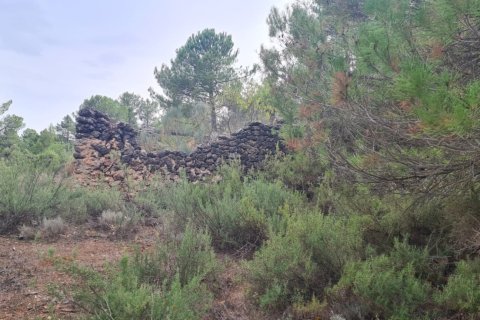 Terreno a Albacete, Spagna N° 183917