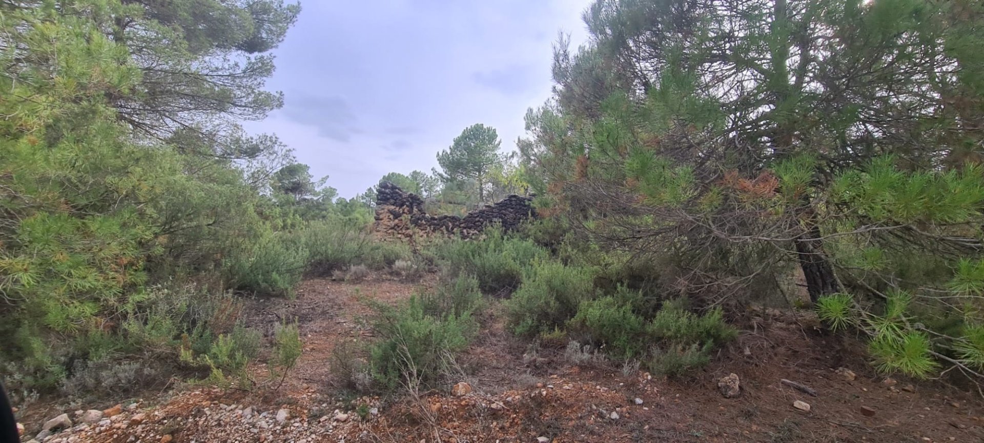 Tontti Albacete, Espanja No. 183917