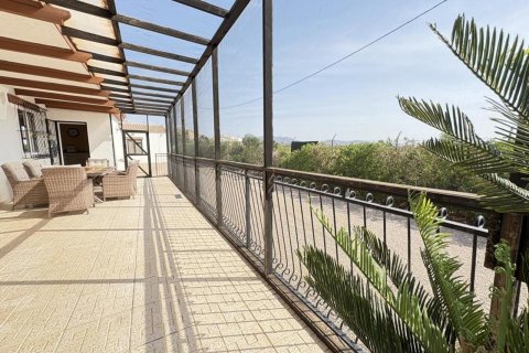 Finca for sale in Gea Y Truyols, Murcia, Spain 4 bedrooms, 420 sq.m. No. 148415 - photo 30