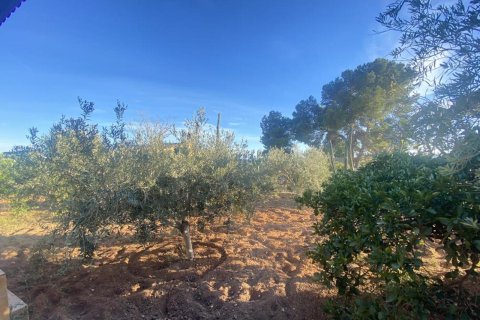 Villa en venta en Gea Y Truyols, Murcia, España 4 dormitorios, 153 m2 No. 148416 - foto 8