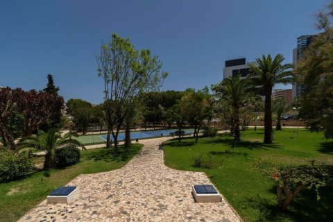 Продажа квартиры в Аликанте, Испания 3 спальни, 128м2 №180110 - фото 8