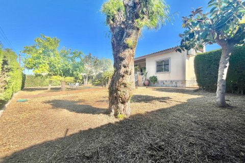 Villa à vendre à Torrevieja, Alicante, Espagne, 3 chambres, 180 m2 No. 165592 - photo 9