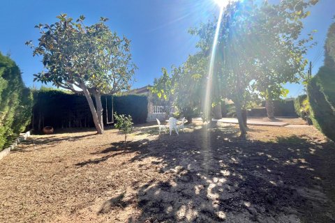 Villa à vendre à Torrevieja, Alicante, Espagne, 3 chambres, 180 m2 No. 165592 - photo 11