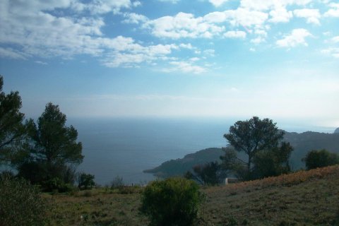 Land zum Verkauf in Begur, Girona, Spanien Nr. 141168 - Foto 8
