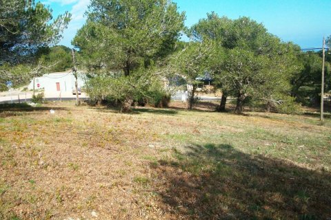 Land zum Verkauf in Begur, Girona, Spanien Nr. 141168 - Foto 13