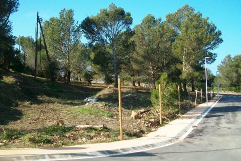 Land zum Verkauf in Begur, Girona, Spanien Nr. 141168 - Foto 15